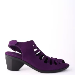 Enexor Purple