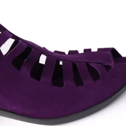 Enexor Purple