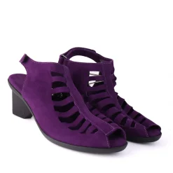 Enexor Purple
