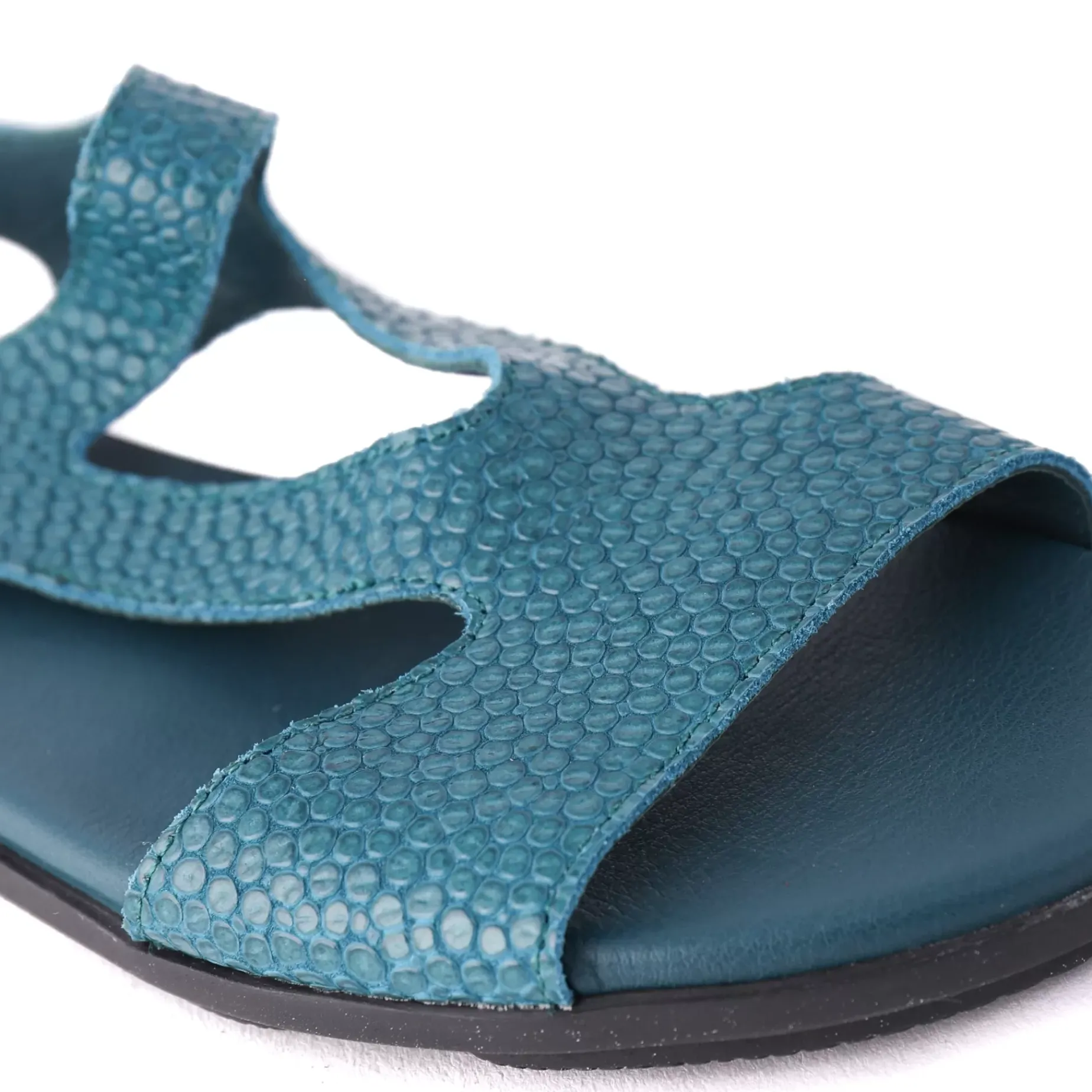 Palyze Teal